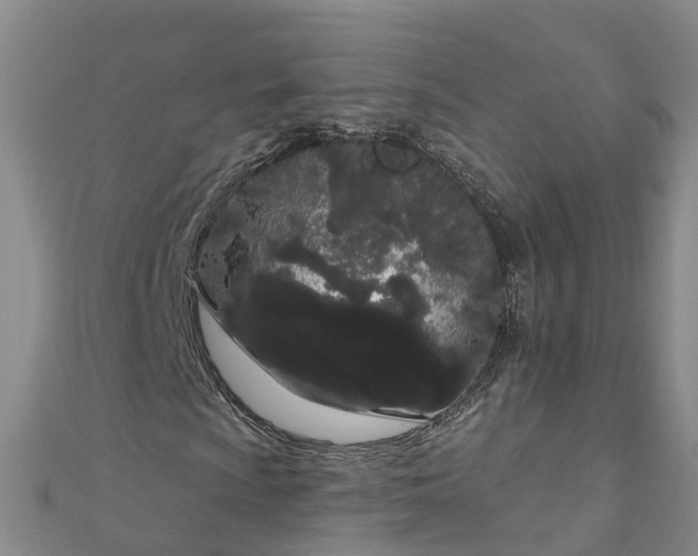 X0000111181009200907081231