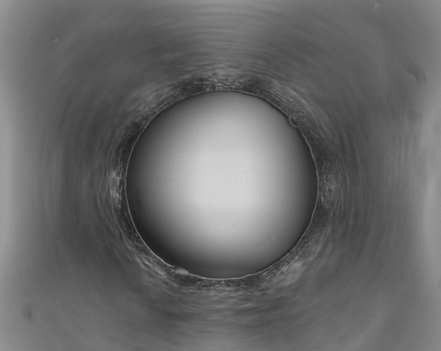 X0000111181010200907081231