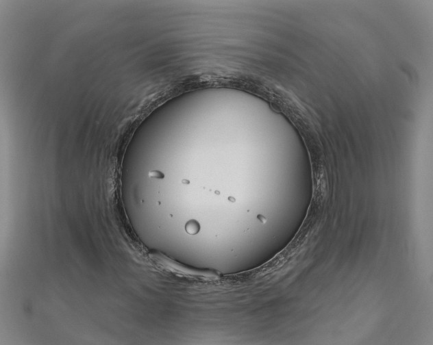 X0000111181012200907081231