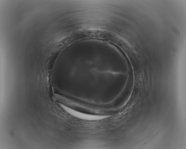 X0000111181013200907081231