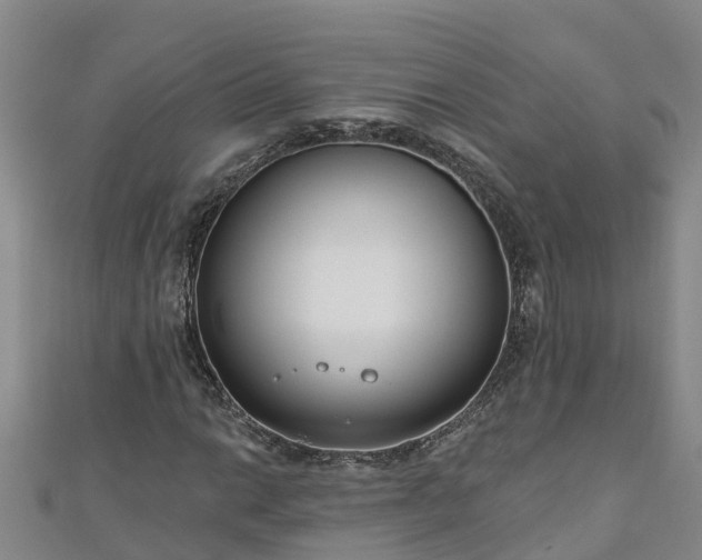 X0000111181014200907081231