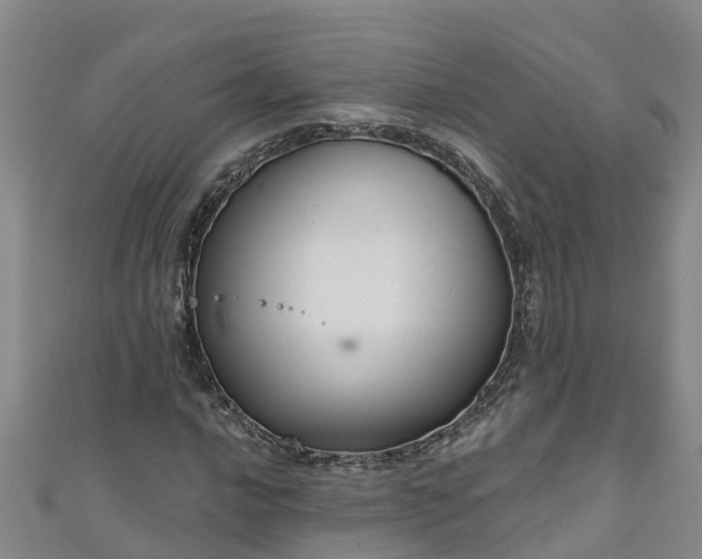 X0000111181016200907081231