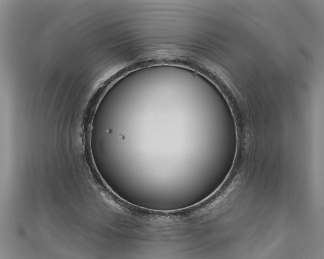 X0000111181018200907081231