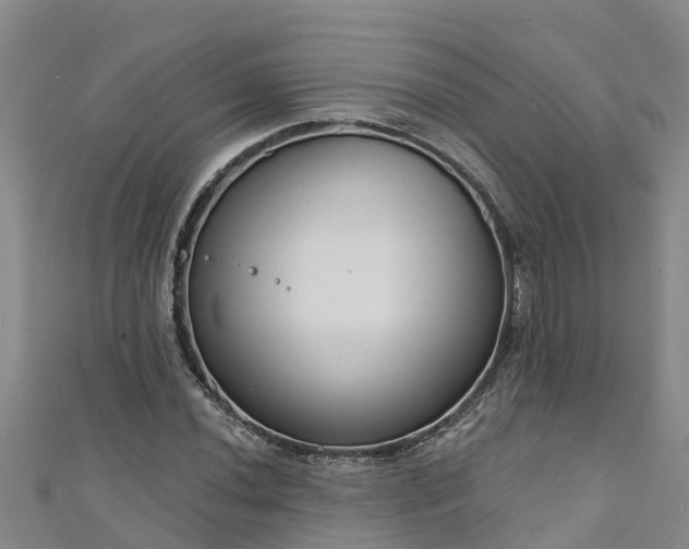 X0000111181020200907081231