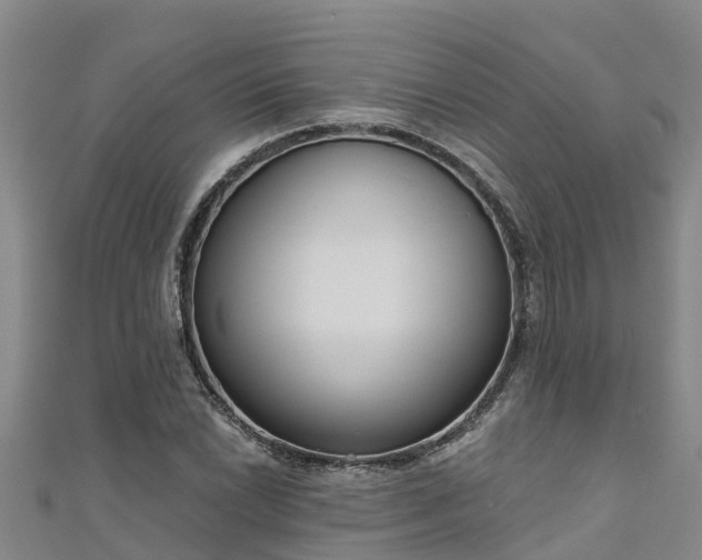 X0000111181022200907081231