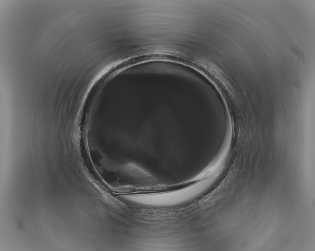 X0000111181024200907081231