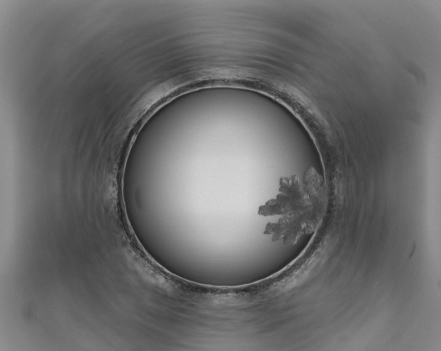 X0000111181025200907081231