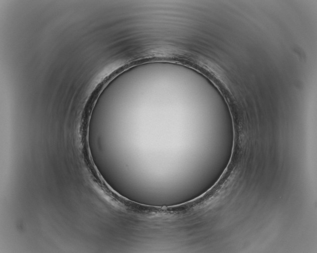 X0000111181026200907081231