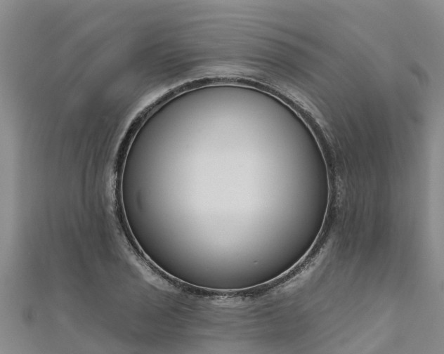 X0000111181029200907081231