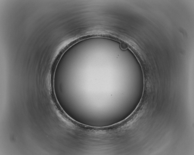 X0000111181030200907081231