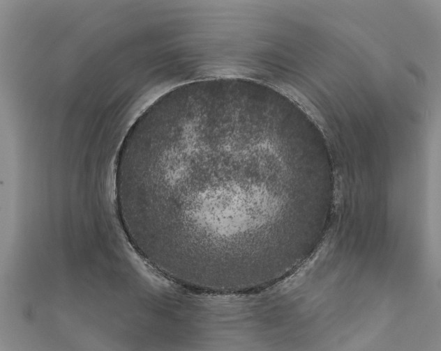 X0000111181031200907081231