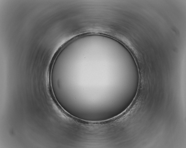 X0000111181032200907081231