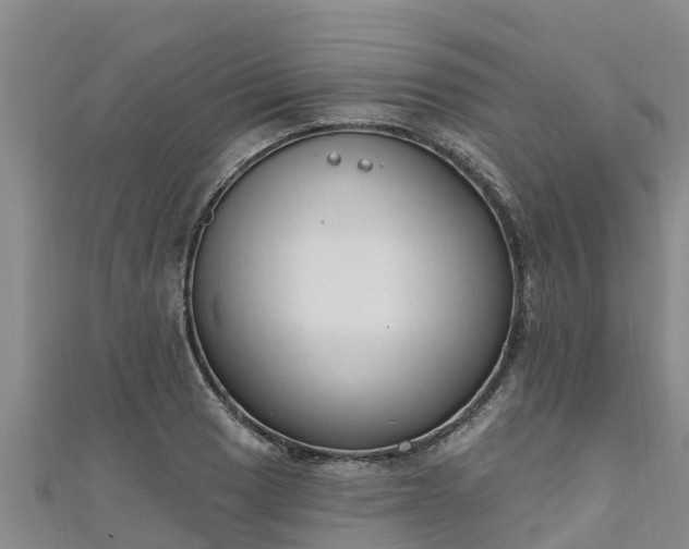 X0000111181033200907081231