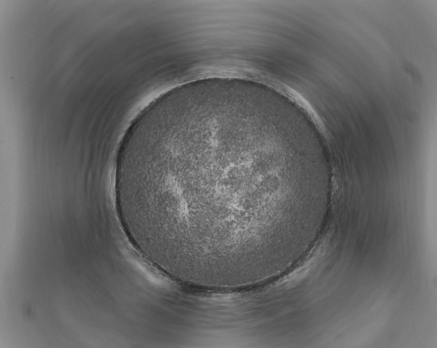 X0000111181035200907081231