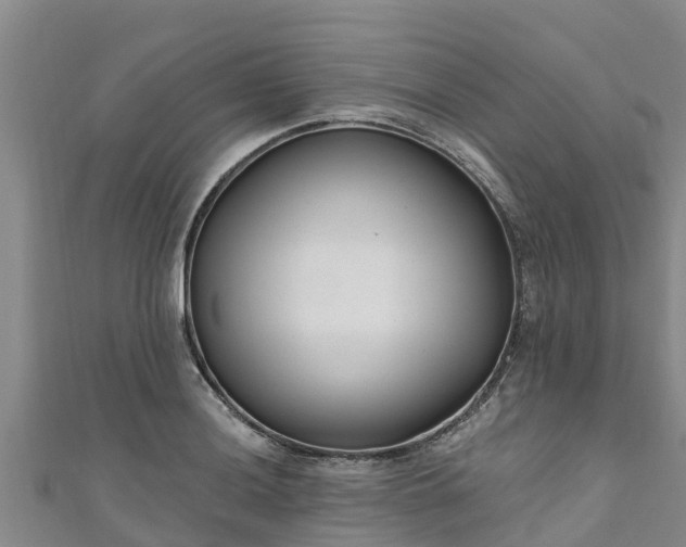 X0000111181036200907081231