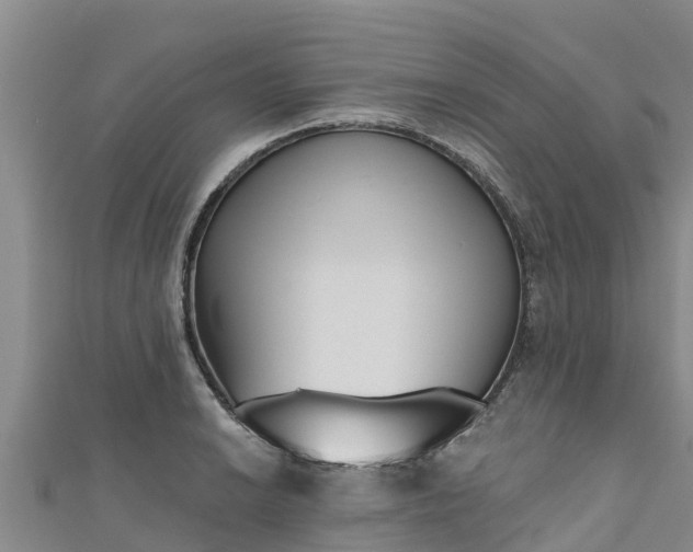 X0000111181038200907081231