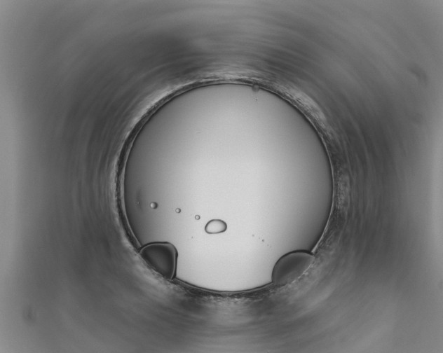 X0000111181039200907081231