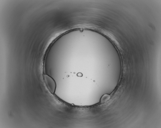 X0000111181040200907081231