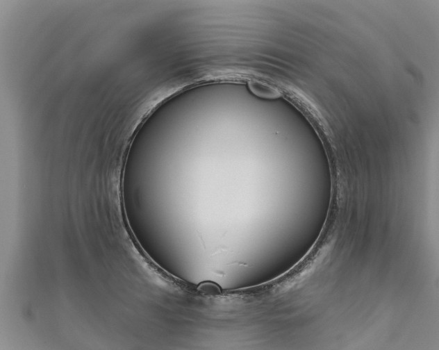 X0000111181041200907081231