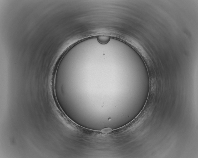 X0000111181043200907081231