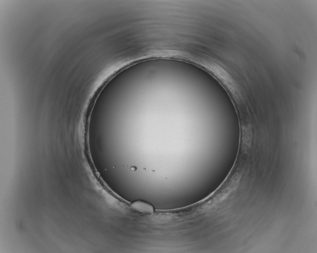 X0000111181046200907081231