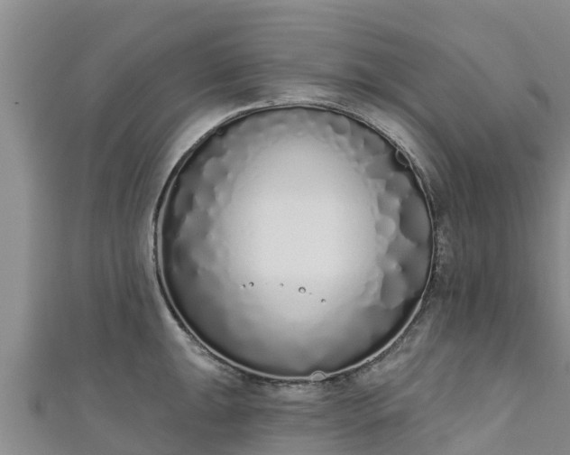 X0000111181047200907081231