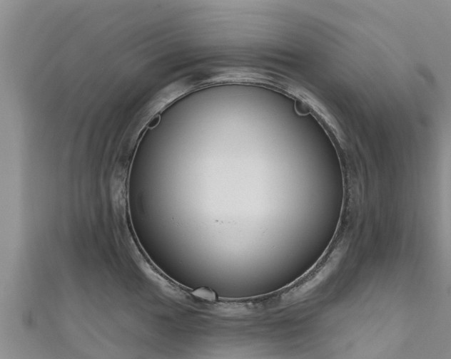 X0000111181049200907081231