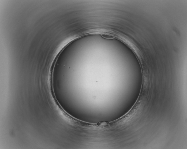 X0000111181050200907081231