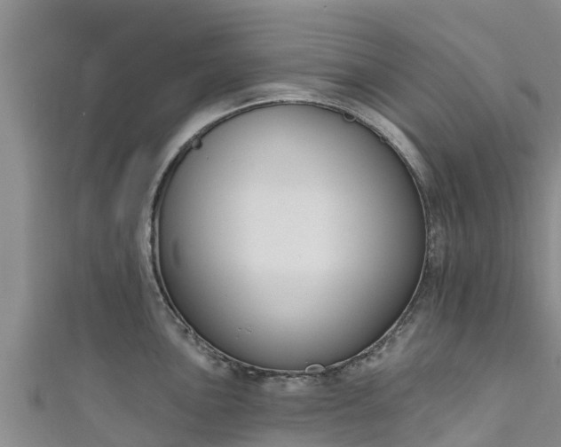 X0000111181051200907081231