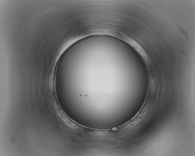 X0000111181052200907081231