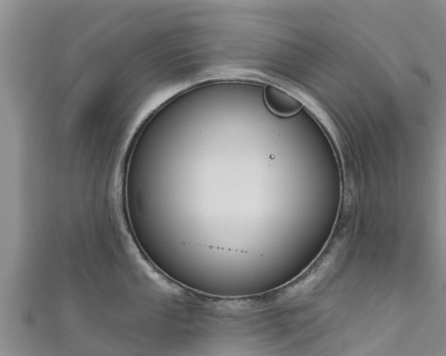 X0000111181053200907081231