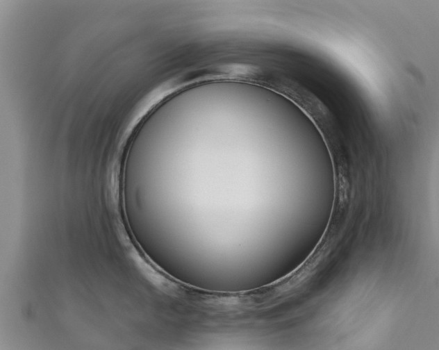 X0000111181054200907081231