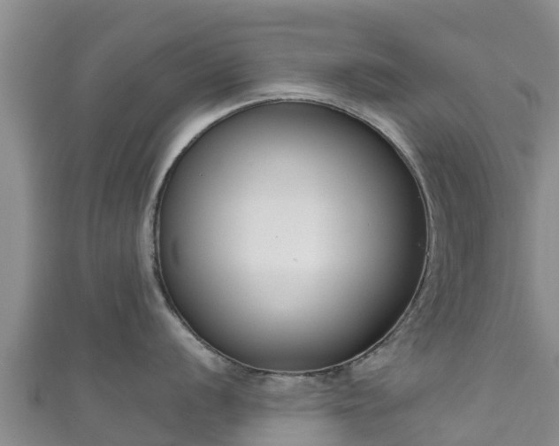 X0000111181056200907081231