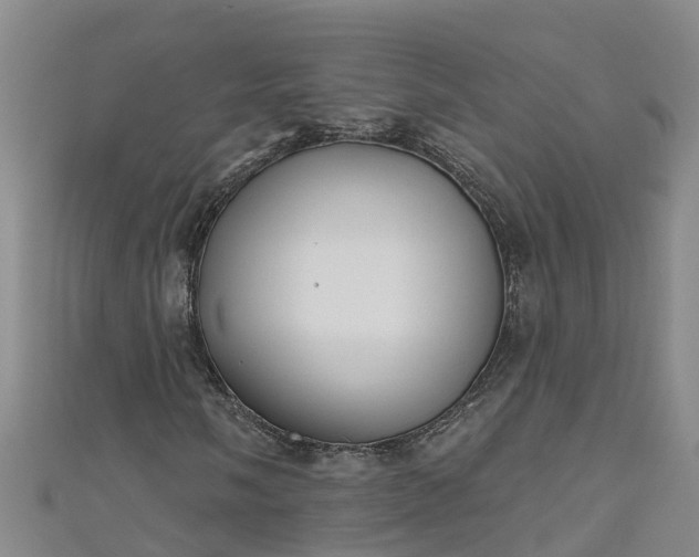 X0000111181058200907081231