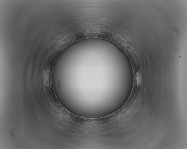 X0000111181059200907081231