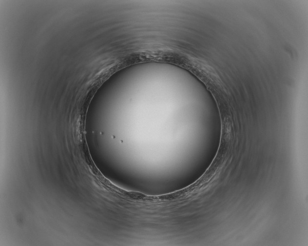 X0000111181060200907081231