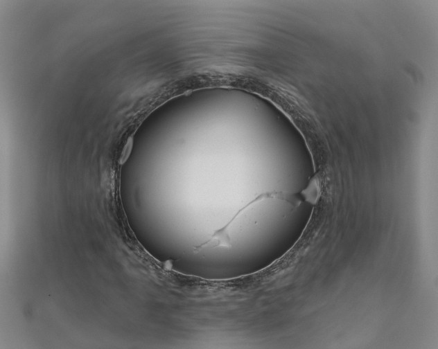 X0000111181061200907081231