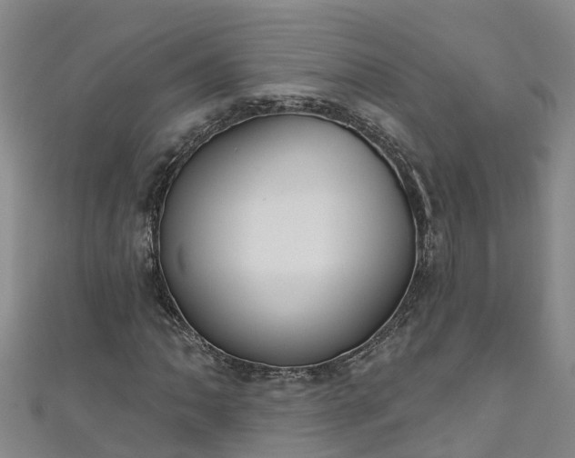 X0000111181062200907081231