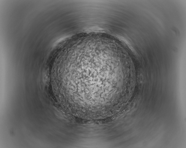 X0000111181063200907081231