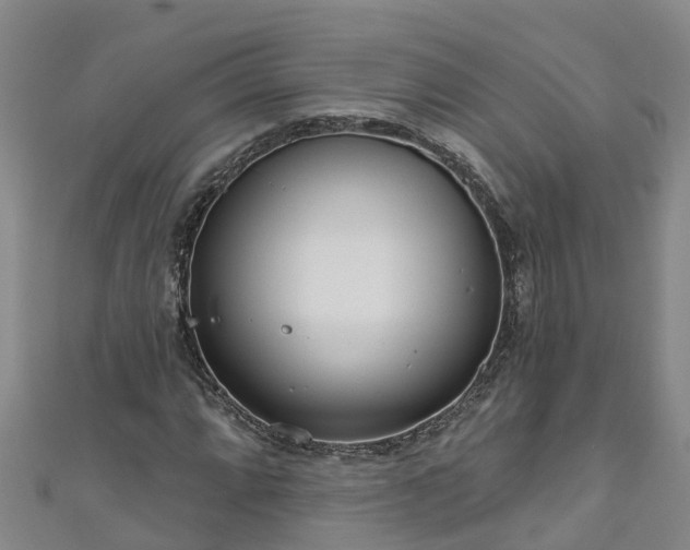 X0000111181064200907081231