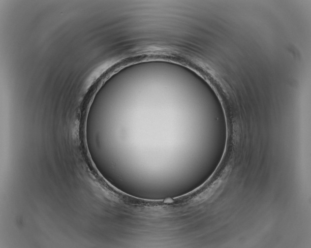 X0000111181066200907081231