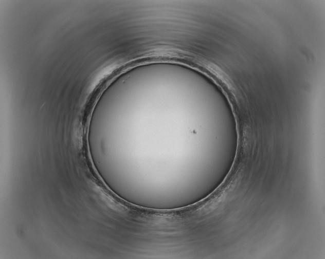 X0000111181067200907081231