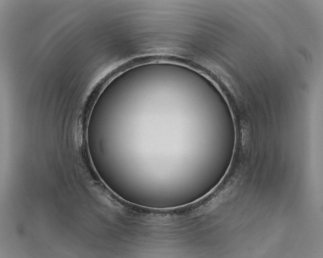 X0000111181069200907081231