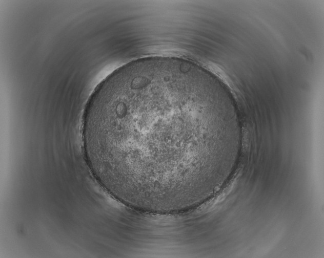 X0000111181071200907081231