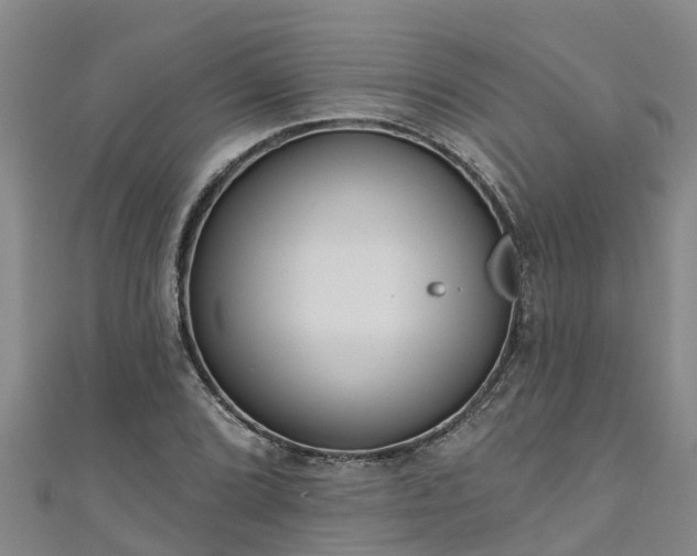 X0000111181072200907081231