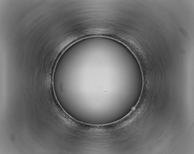 X0000111181073200907081231