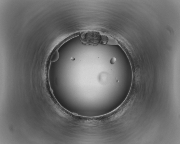 X0000111181077200907081230