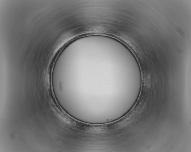 X0000111181078200907081230