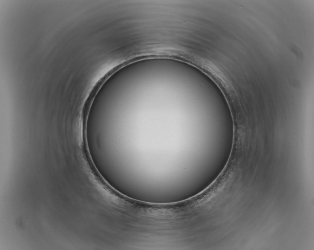 X0000111181079200907081230