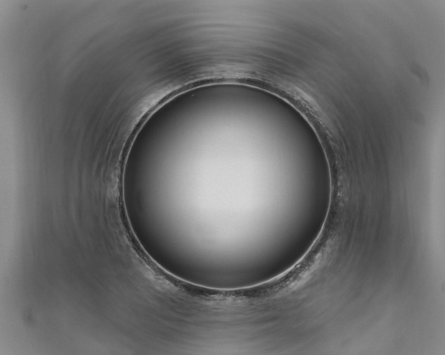 X0000111181081200907081230